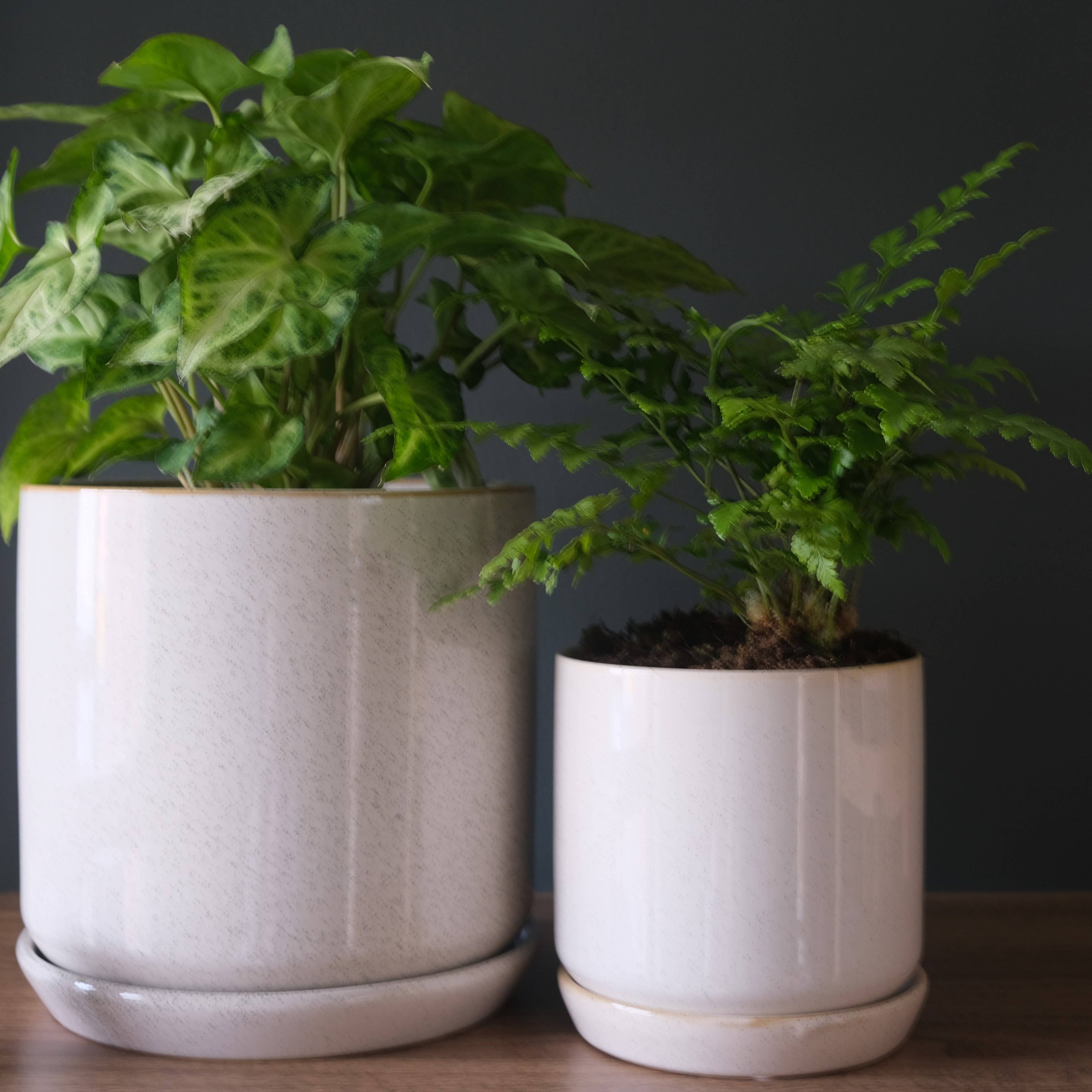 Large Oslo Planter Sandstorm