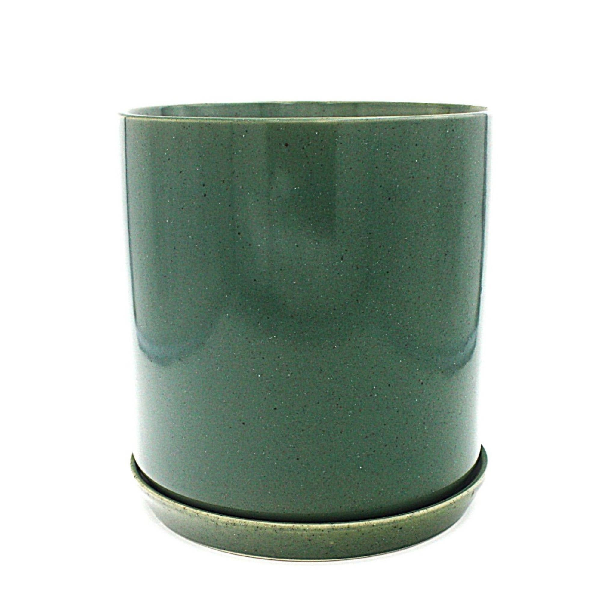 XL Oslo Planter Agave