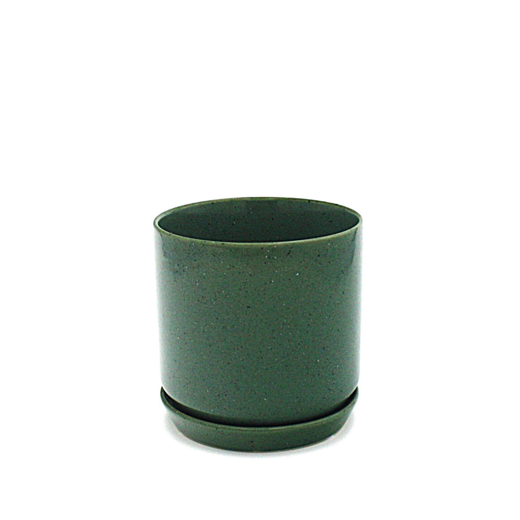 Small Oslo Planter Agave