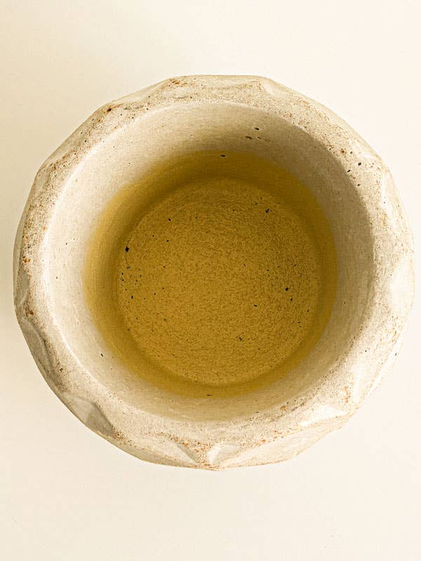 Dino Pot – Large (Fits 140mm Grow Pot)