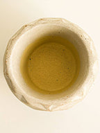 Dino Pot – Large (Fits 140mm Grow Pot)