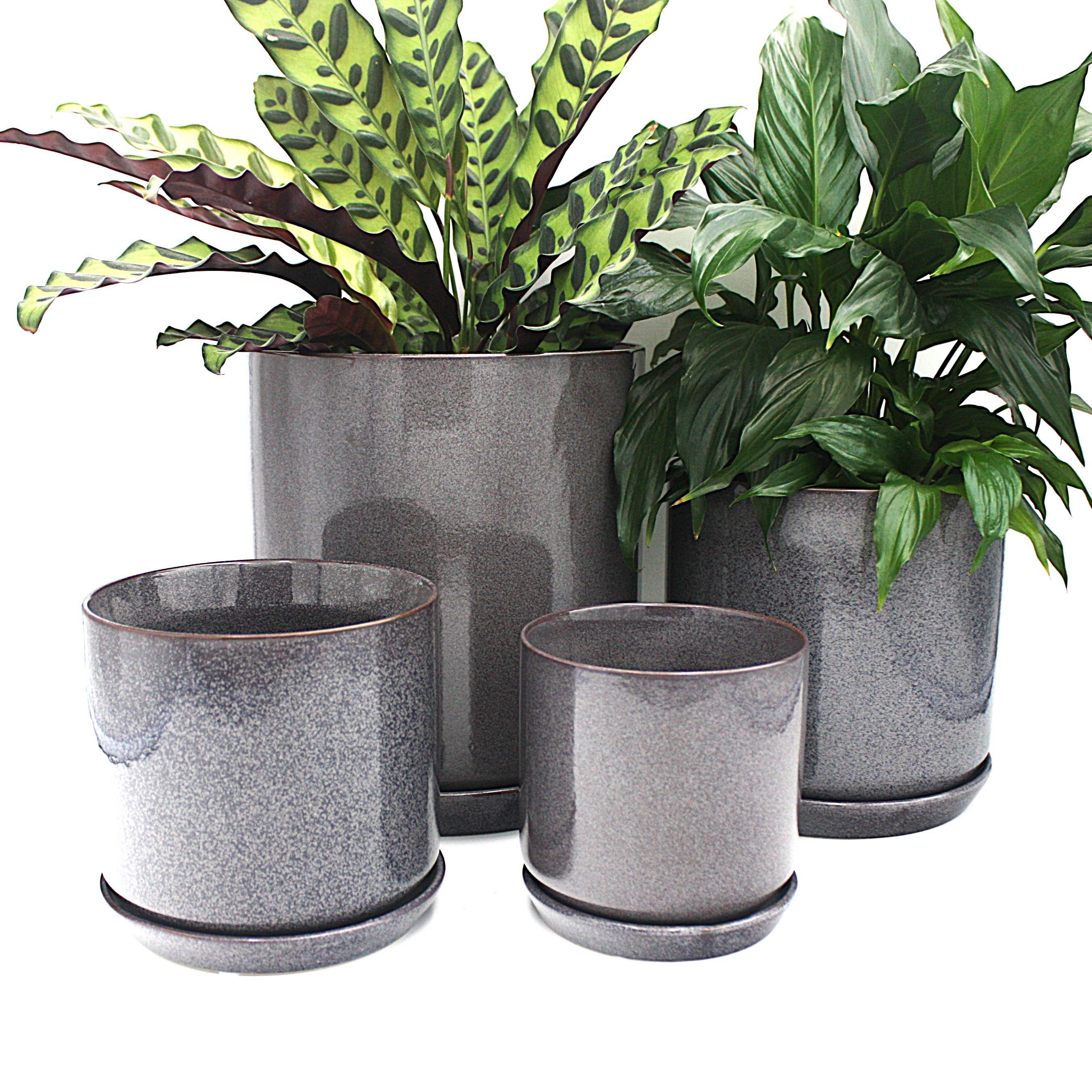 Medium Oslo Planter Licorice