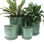 Small Oslo Planter Agave