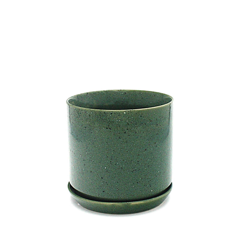 Medium Oslo Planter Agave