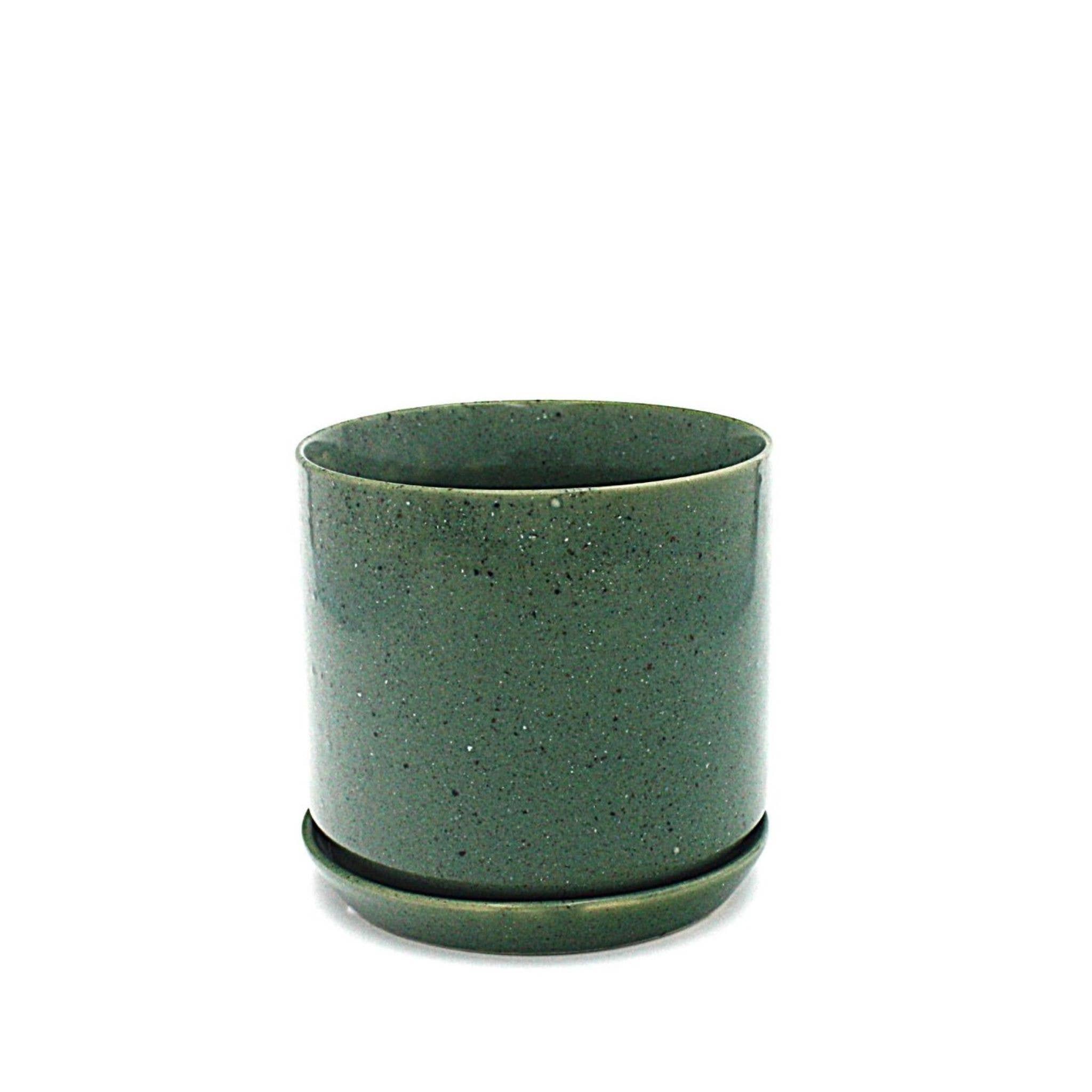 Medium Oslo Planter Agave