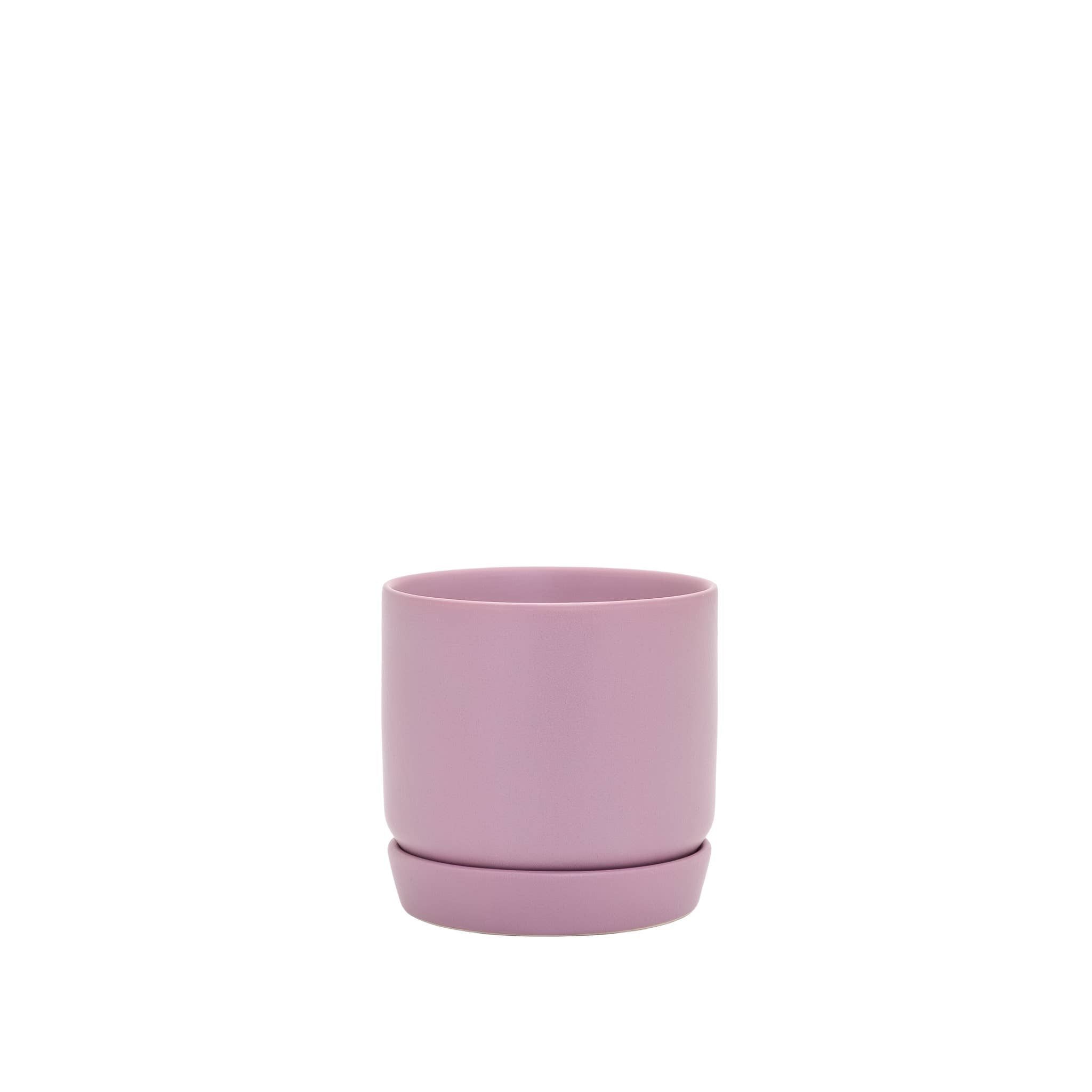 Mini Oslo Planter Mallow