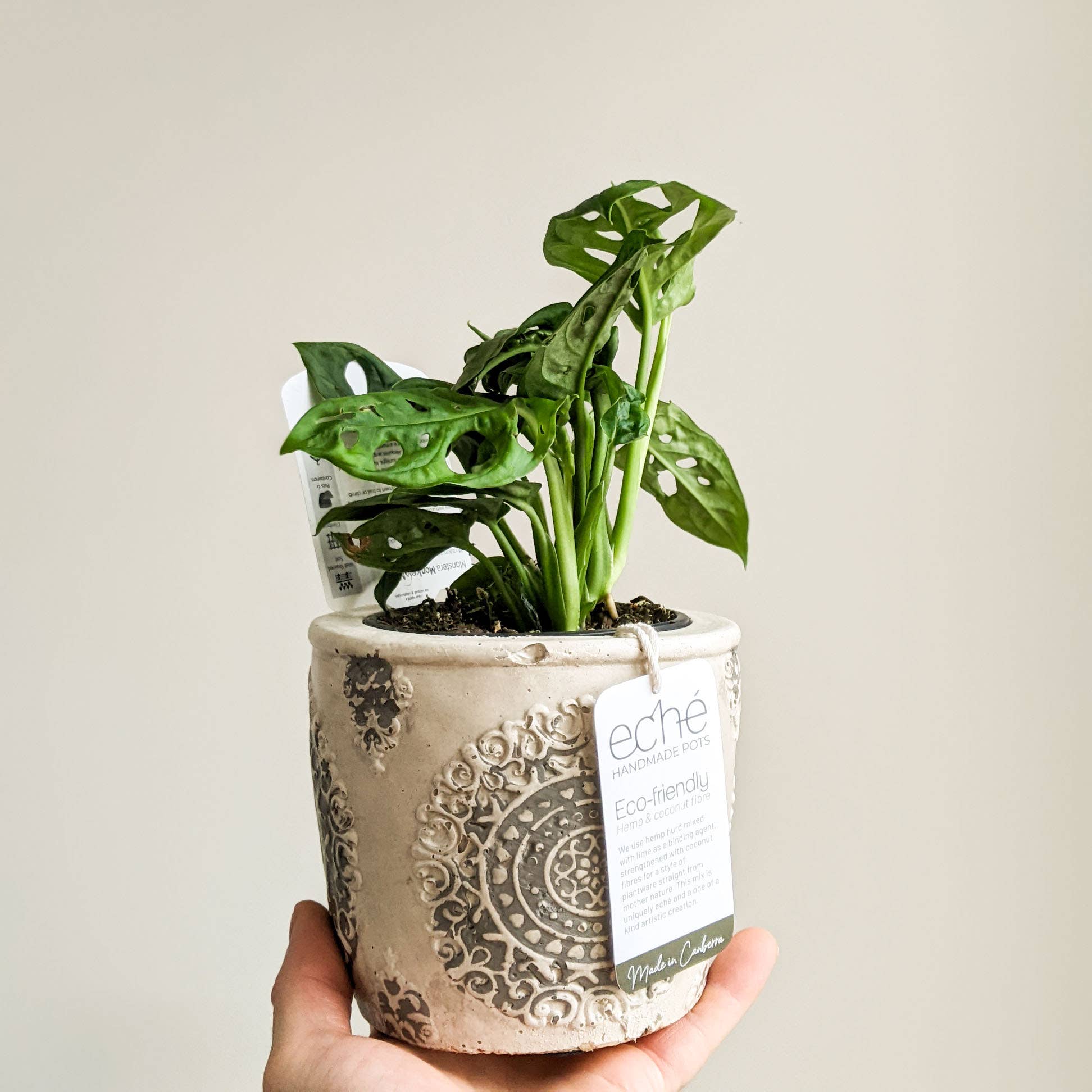 Old Style Pot - (Fits 100mm Grow Pot)
