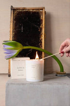 Lotus Candle | Resilience