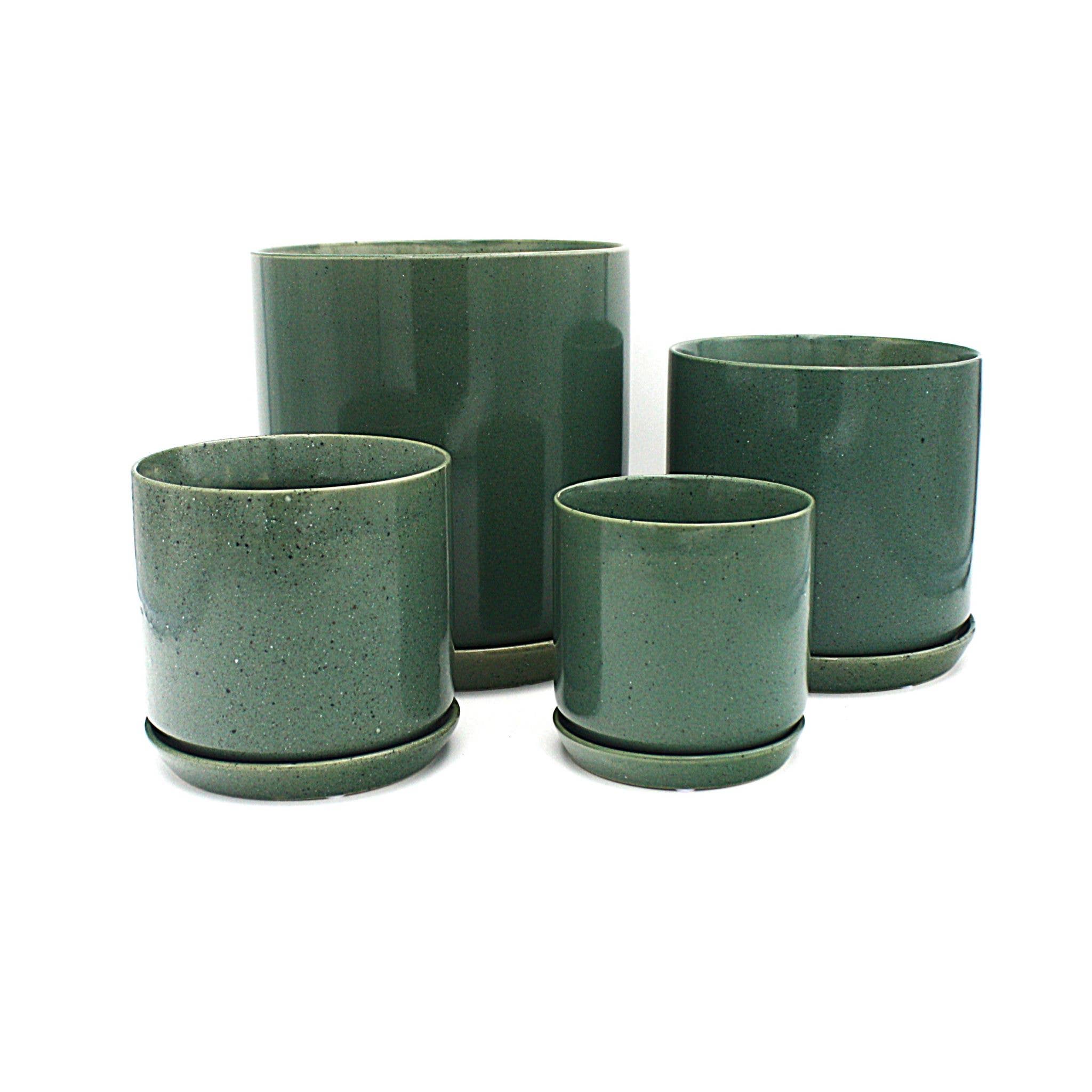 Medium Oslo Planter Agave