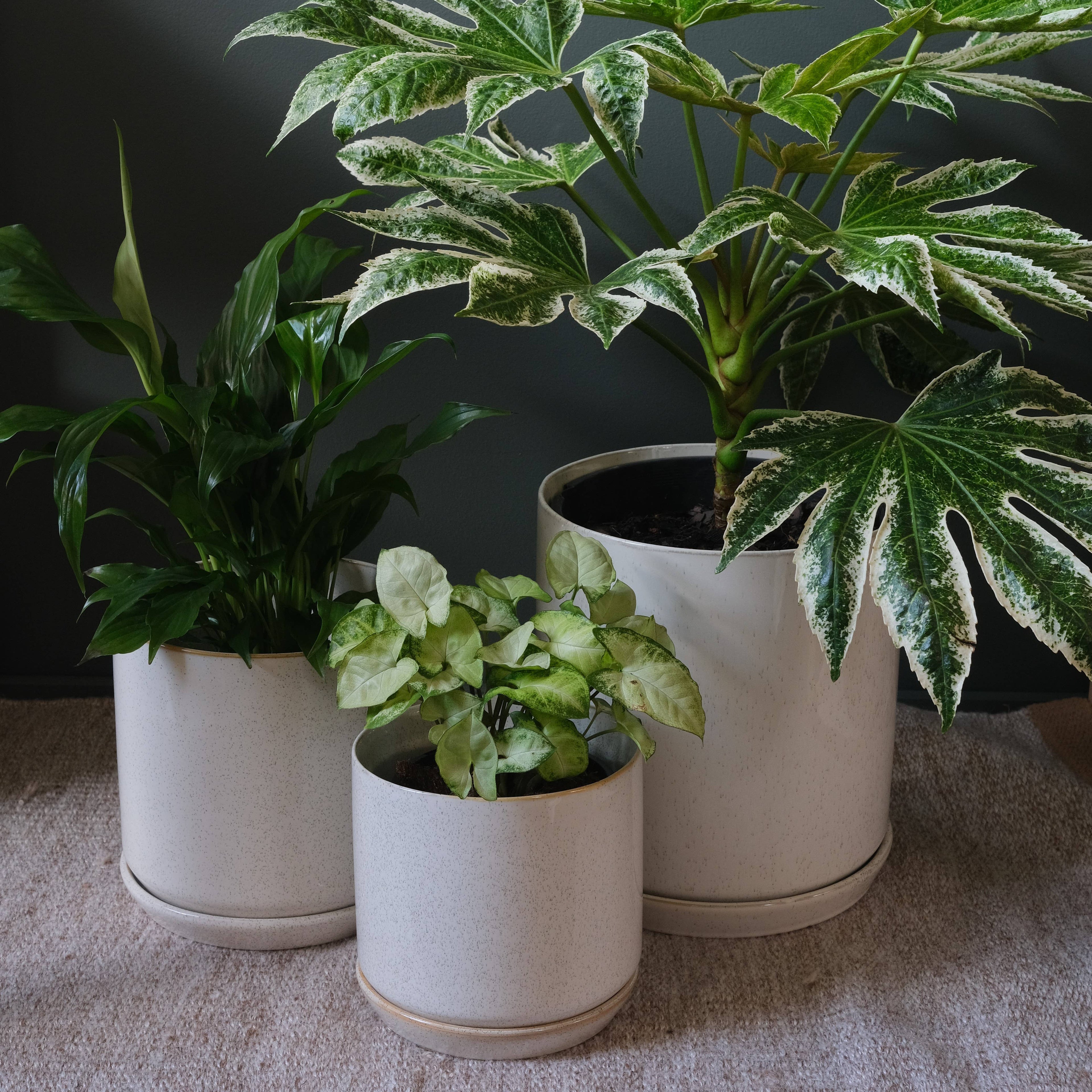 Large Oslo Planter Sandstorm