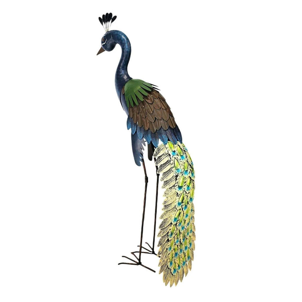 Standing Peacock