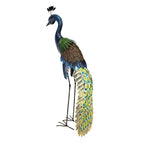 Standing Peacock