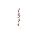 Butterflies/Dragonflies Stake