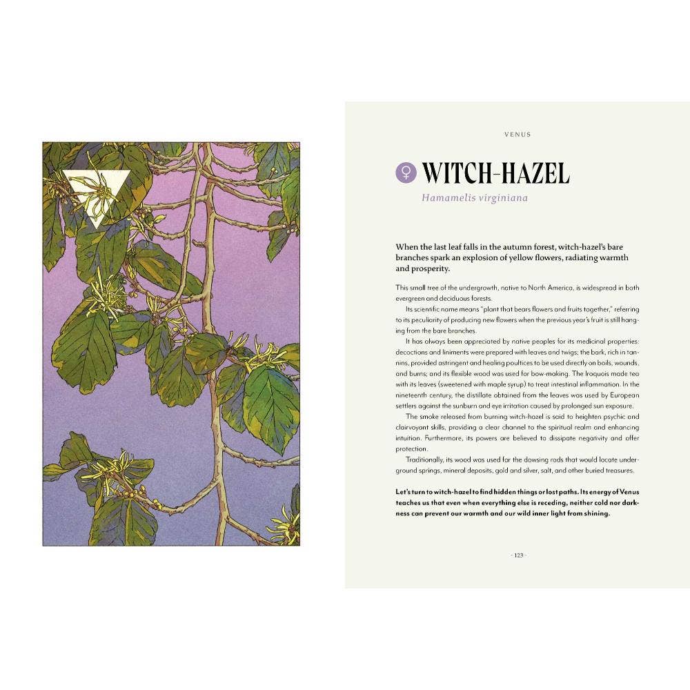 Plant Magic Book