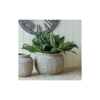 Arlen Plant Pot