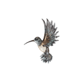 Capiz Hummingbird Wall Art