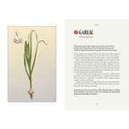 Plant Magic Book