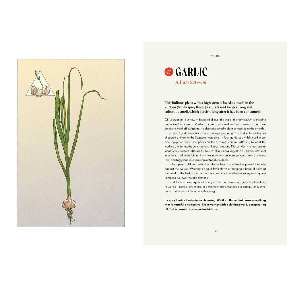 Plant Magic Book