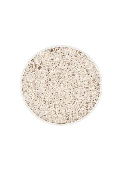 Dino Pot – Large (Fits 140mm Grow Pot)