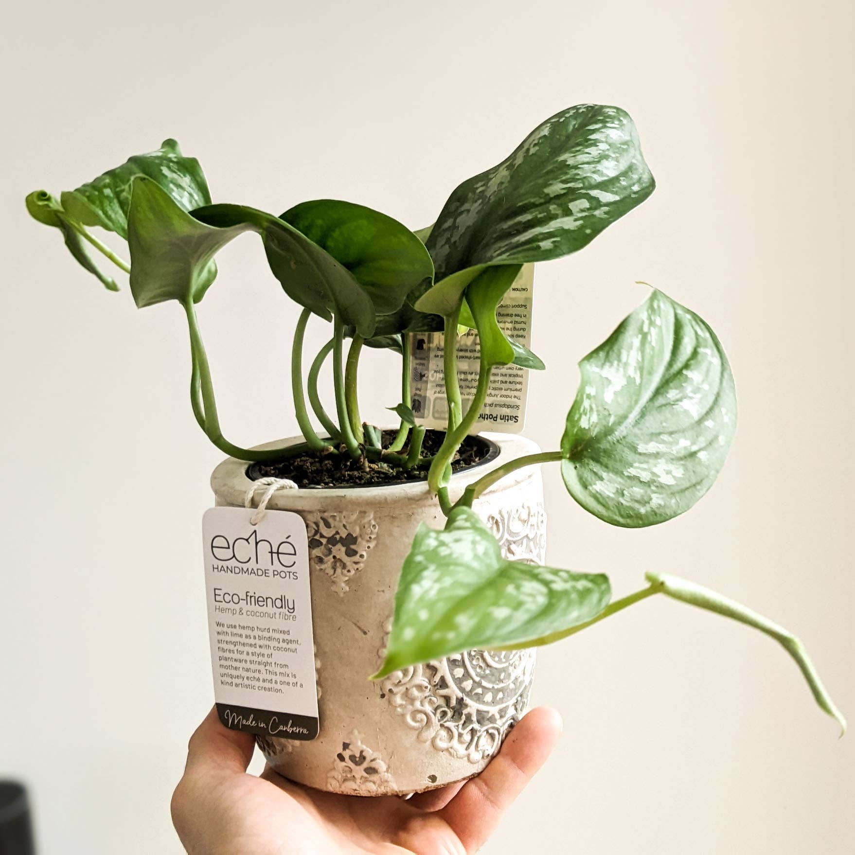 Old Style Pot - (Fits 100mm Grow Pot)