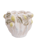 Planter Lemons Washed