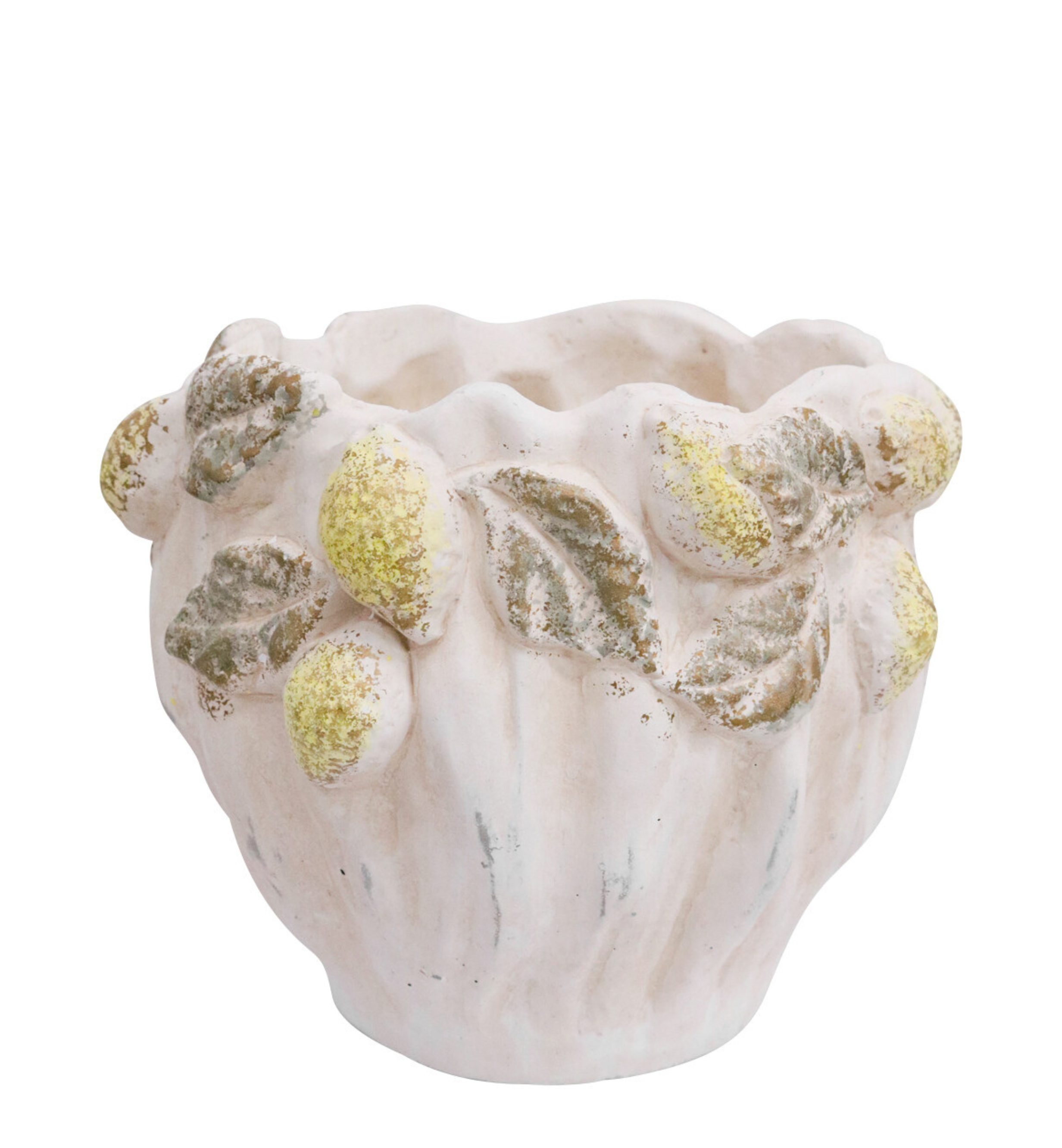 Planter Lemons Washed